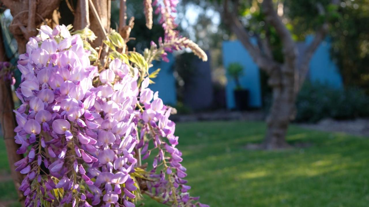 Loddon River Motel Kerang Экстерьер фото